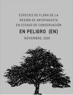 Flora regional "En Peligro"