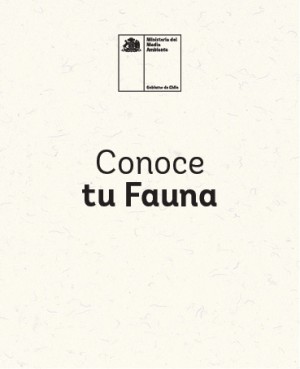 Conoce tu fauna