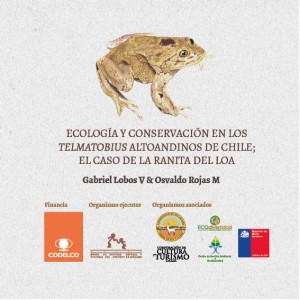 012 La Ranita del Loa