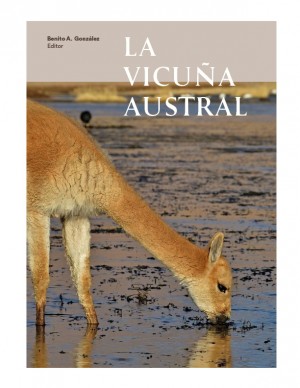 013 La Vicuña Austral